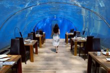 Ithaa Undersea - удивительный подводный ресторан-аквариум