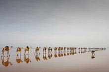 В поисках соли. Хамед Эла, долина Данакил, Эфиопия. Долина Данакил в Эфиопии считается одним из самых жарких и негостеприимных мест на земле. Здесь находится озеро Асале, расположенное на 116 метров ниже уровня моря. Местные жители добывают в нем соль